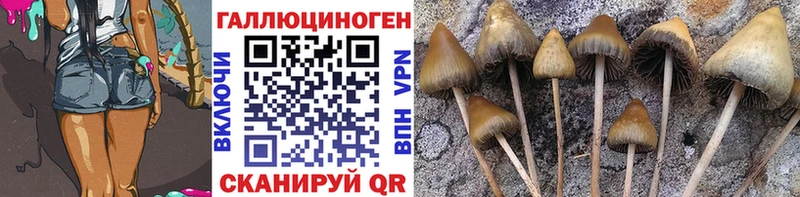 купить  сайты  Короча  Галлюциногенные грибы Magic Shrooms 