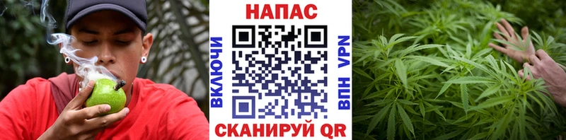 Канабис VHQ купить закладку нарко площадка Telegram Короча